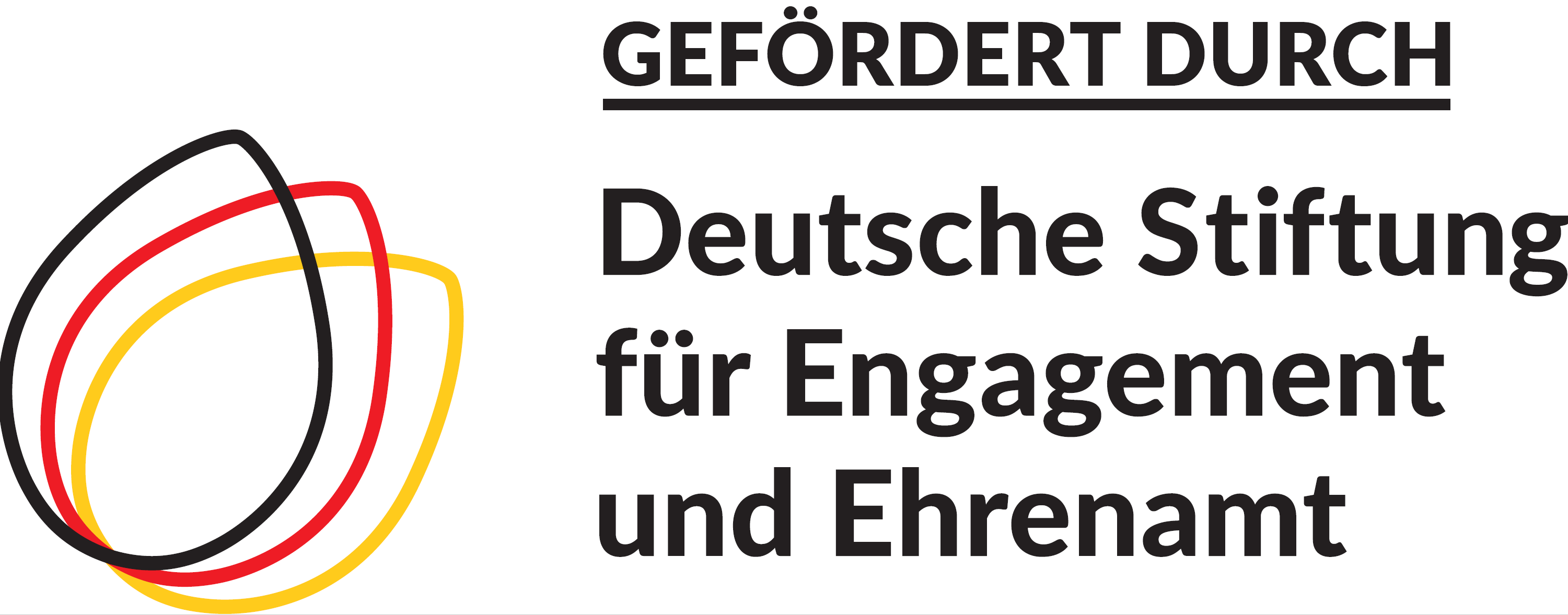Logo, Deutsche Stiftung für Engagement und Ehrenamt